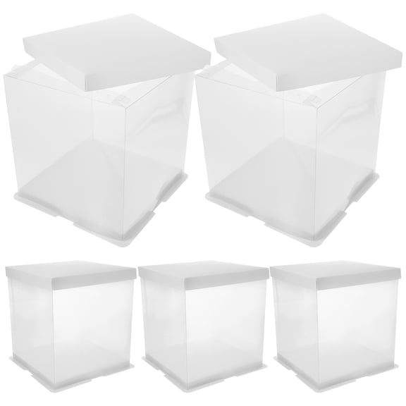 CRILSTYLEO Clear Cake Boxes for Storage Made of Strong Plastic Perfect for Small and Pastries 5pcs