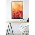 thumbnail image 6 of Red Poppy Flowers Wall Poster, 22.375" x 34" Framed, 6 of 6