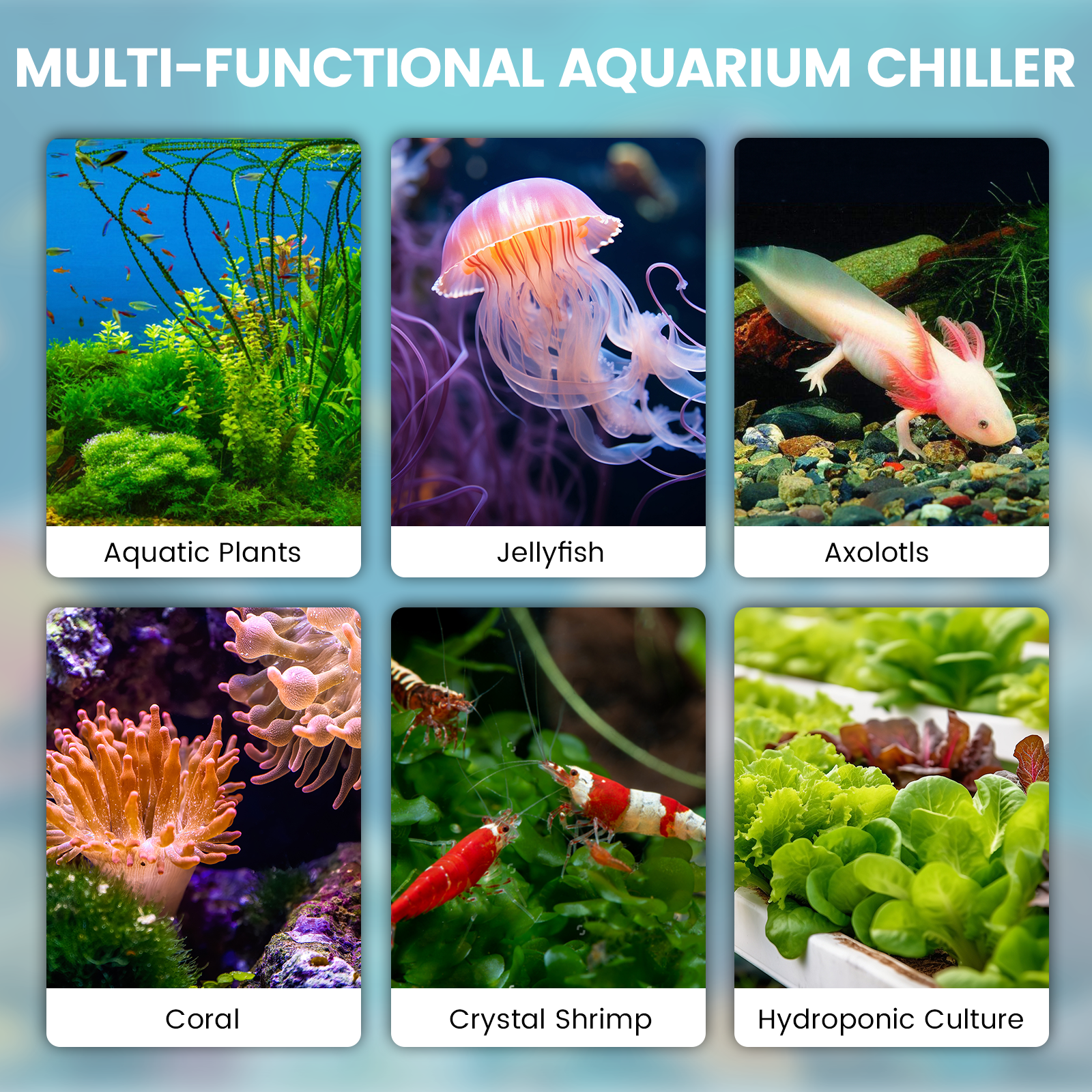 Rocita Aquarium Chiller,132gal 500L, 1/2 HP Aquarium Water Chiller for axolotl,Hydroponic System,Sea/Fresh Water