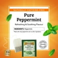 thumbnail image 4 of Té de hierbas Twinings Menta Piperita Pura 20 sobres sin cafeína, 4 of 6