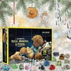 JINRS Christmas Countdown Calendar, Advent Calendar 2021 for Kids Adults, Fun & Sensory Fidget Toys,Geographic Rock Mineral, 24 Days Surprises Gifts Count Down to Xmas (Rock Mineral & Fossil Dig Kit)