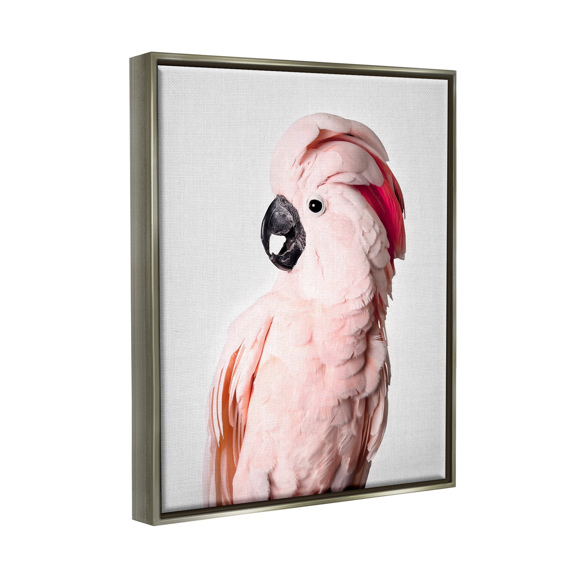 Stupell Industries Pink Cockatoo Photography Animals & Insects Photography Gray Floater Framed Art Print Wall Art, 25 x 31