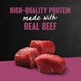 thumbnail image 6 of Cesar Filets in Gravy Wet Dog Food, Prime Rib Flavor, 3.5 oz. Trays, Pack of 24, 6 of 14