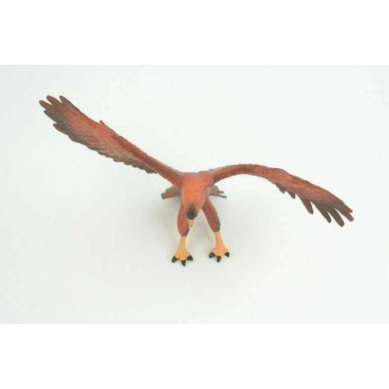 Golden Eagle, Hand Painted, Educational, High Quality Rubber Bird