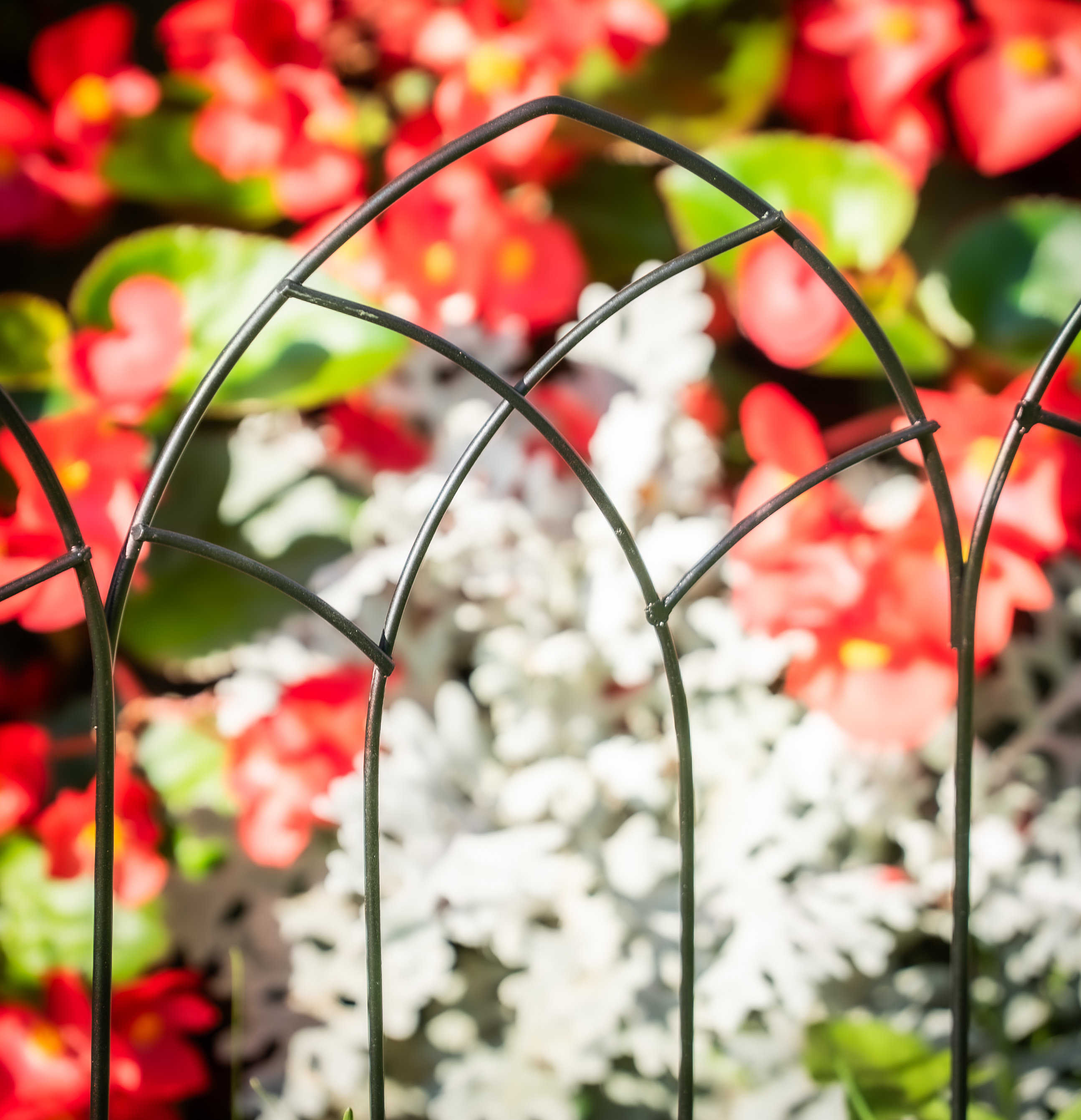 Glamos Wire 24 inch Arched Top metal Panel Decorative Fence 40 Pack covers 80 feet total