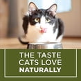 thumbnail image 5 of Purina Cat Chow Naturals Dry Indoor Cat Food, Chicken 3.15 lb (Pack of 8), 5 of 7