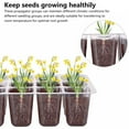 thumbnail image 2 of POINTERTECK Seedling Starter Kit Plastic 10Pcs 12 Holes Seed Starter Tray Kit with Adjustable Vents Multifunctional Seed Propagator Set with Transplant Tools Labels Gloves for Vegetable F, 2 of 10