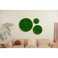 thumbnail image 3 of Luxury Home Interior Design Nature's Geometry - Round Combination Moss Art Hanging Frame 3 pcs Set, 3 of 6