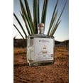 thumbnail image 4 of Mezcal Ancestral #1 Sipping - Arroqueño (45% Alc. Vol.) #1 SIPPING MEZCAL Colección de Agaves Silvestres / #1 Sipping Mezcal Artesanal, 4 of 5