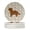 Brown, variant on Small Greek Domestic Dog Merry Christmas Large Sandstone Coasters Pack of 4 4 in x 4 in