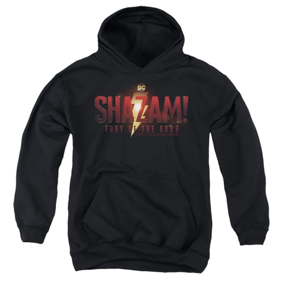 Shazam! Fury Of The Gods Fury Of The Gods Movie Logo Kids Pull-Over Hoodie (Small) for Youth Boys and Girls, Black