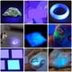 thumbnail image 4 of Linterna UV ANGGREK Luz Negra 365 Nm, 4 of 7