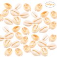 thumbnail image 1 of 100 Pcs de Coquille Naturelle Accessoires diy (11*17mm 100 Pcs), 1 of 10
