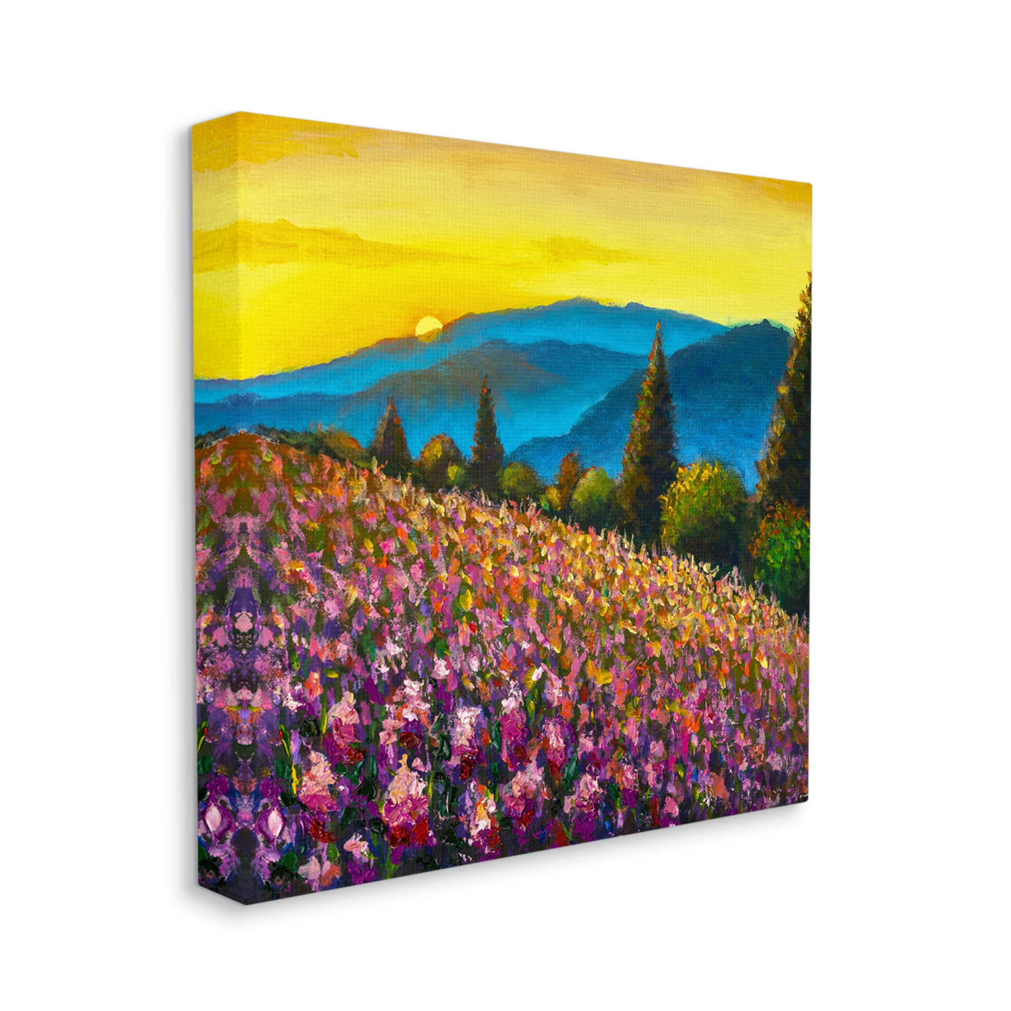 Stupell Industries Vivid Mountain Meadow Scenery Nature Painting Gallery Wrapped Canvas Print Wall Art, 24 x 24