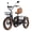 Brown, variant on Broobey Pre-assembled 85% Two Seater Electric Tricycle 7 Speed with 48V20Ah Lithium Battery 500W Motor Max 15MPH Electric Tricycle for Adults with Rear Basket Green UL2849