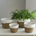 thumbnail image 3 of Neinkie Cotton Rope Plant Basket Modern Indoor Planter Flower Pot Woven Storage Organizer Home Decor, 3 of 7