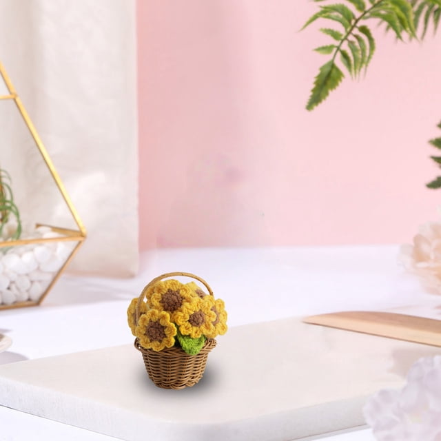JJKBVCLO Handmade Crochet Pot Desktop Ornament Decorative Knitted Potted Home Desk Accessory Unique Idea