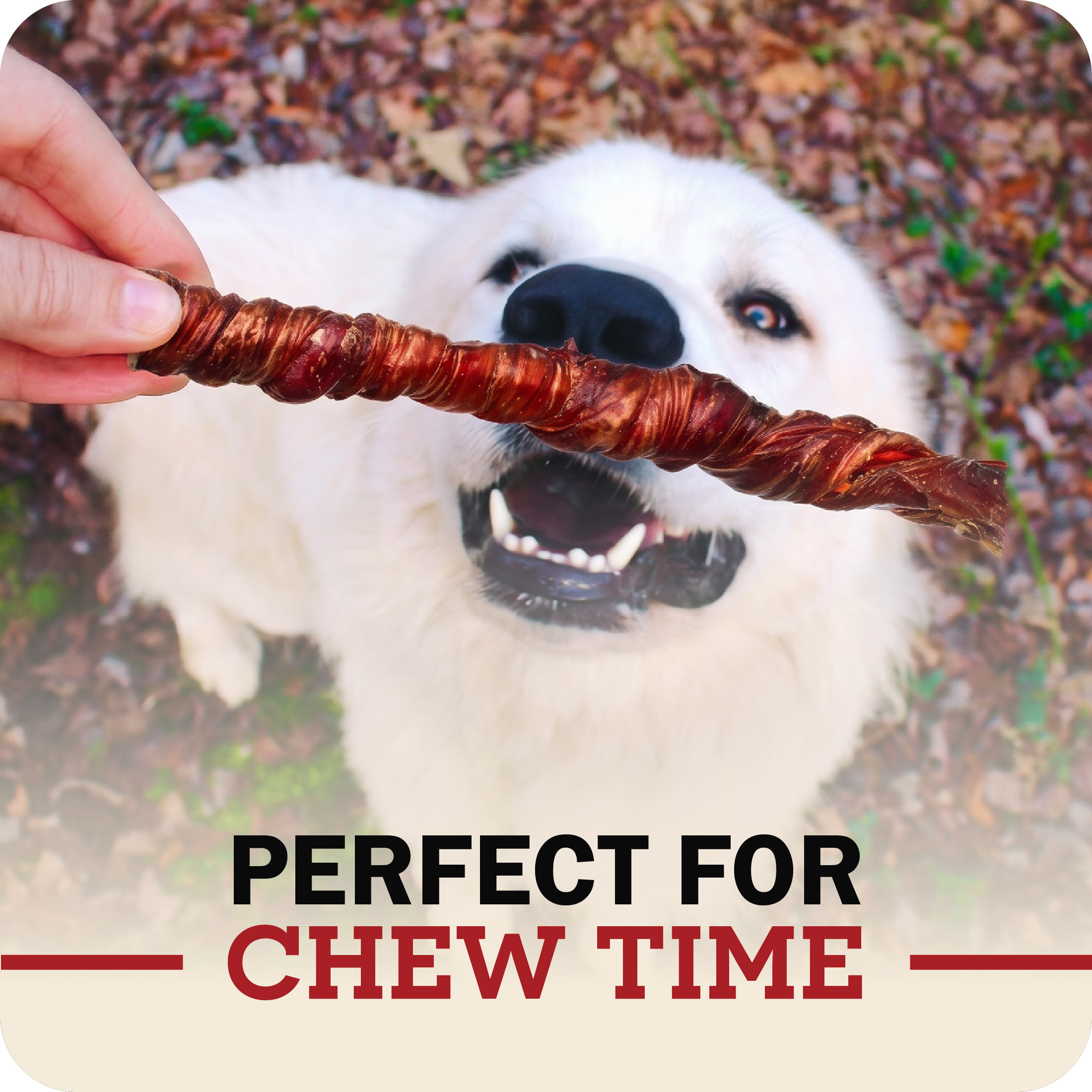 Redbarn Bully Twists Dog Chews, 5-Count photo 7