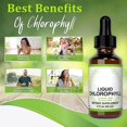 thumbnail image 5 of 59ml Chlorophyll All-natural Extract Liquid Drops Water Soluble Mintflavour, 5 of 5
