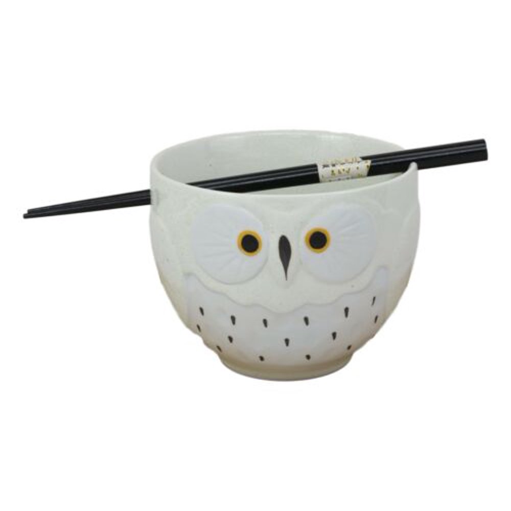 Whimsical Ceramic White Owl Ramen Udong Noodles Soup Bowl With