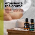 Artnaturals Aromatherapy Essential Oil Gift Set Peppermint Tea Tree