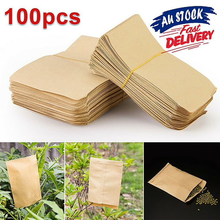 Cash Envelopes 100pcs Kraft Small Coin Envelopes Seed Envelopes