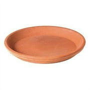 Deroma 256510 5.9 x 1 in. Terra Cotta Clay Saucer, White - Pack of 24