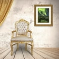 thumbnail image 3 of Smid Master, Jan 26x32 Gold Ornate Wood Framed with Double Matting Museum Art Print Titled - The Aliensaas Head, 3 of 4