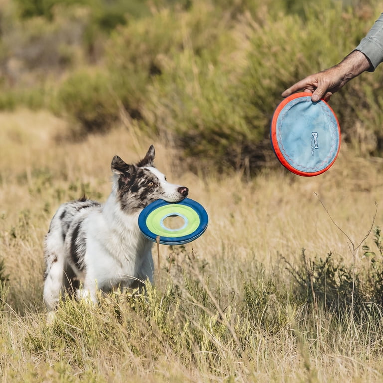 Chuckit!, Dog Flying Disc, 6 inches, Amphibious Zipflight