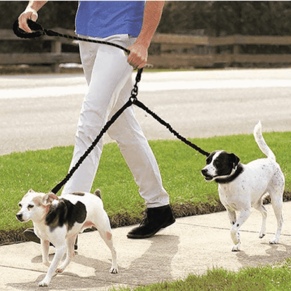 Dual Dog Leash 66"x1" Nylon – 360 Swivel No Tangle, Shock Absorbing Bungee, Two Dogs Large 25-150 lbs, Black