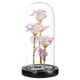 thumbnail image 2 of Regalos de Rosas para Novias, Mujeres, Mujeres, Flores Artificiales, Regalos para El Valentín, Flores de Cristal , Regalos de C Luces cálidas negras perfecl cúpula de globo rosa, 2 of 7