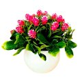 thumbnail image 2 of Travelwant Artificial Flowers in Pot Decor Flower Arrangements 21-Head Pine Cone Plants Flowers Bouquets In Pot Table Centerpieces Holiday Dinning coffee Room Table Kitchen Decoration, 2 of 7
