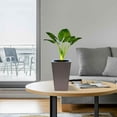 thumbnail image 7 of IMossad Large Tall Modern Planter with Drainage – Indoor/Outdoor Lightweight Self-Watering Plant Pot, 7 of 7