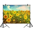 thumbnail image 1 of BSDHOME 7x5ft Beautiful Sky Cloud Backdrops, Nature Art Sunflowers field in Summer Landscape Photography Backdrops Polyester Photo Background Studio Props, 1 of 3