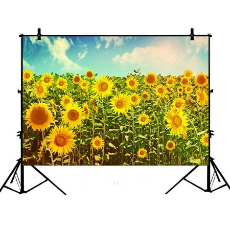 PHFZK 7x5ft Beautiful Sky Cloud Backdrops, Nature Art Sunflowers field in Summer Landscape Photography Backdrops Polyester Photo Background Studio