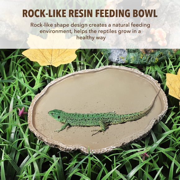 PAMINGONO Plato De Alimentación Para Mascotas Dorado De Resina Duradera Para Reptiles Y Anfibios