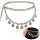 thumbnail image 1 of Alloy Waist Chain Body Chain For Women Waist Belt Coin Tassel Pendant Belly Chain Adjustable Body Harness For Jeans Dresses Gold-yh, 1 of 5