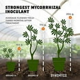thumbnail image 2 of DYNOMYCO Prremium Mycorrhizal Inoculant Fertilizer, 4 oz, 2 of 3