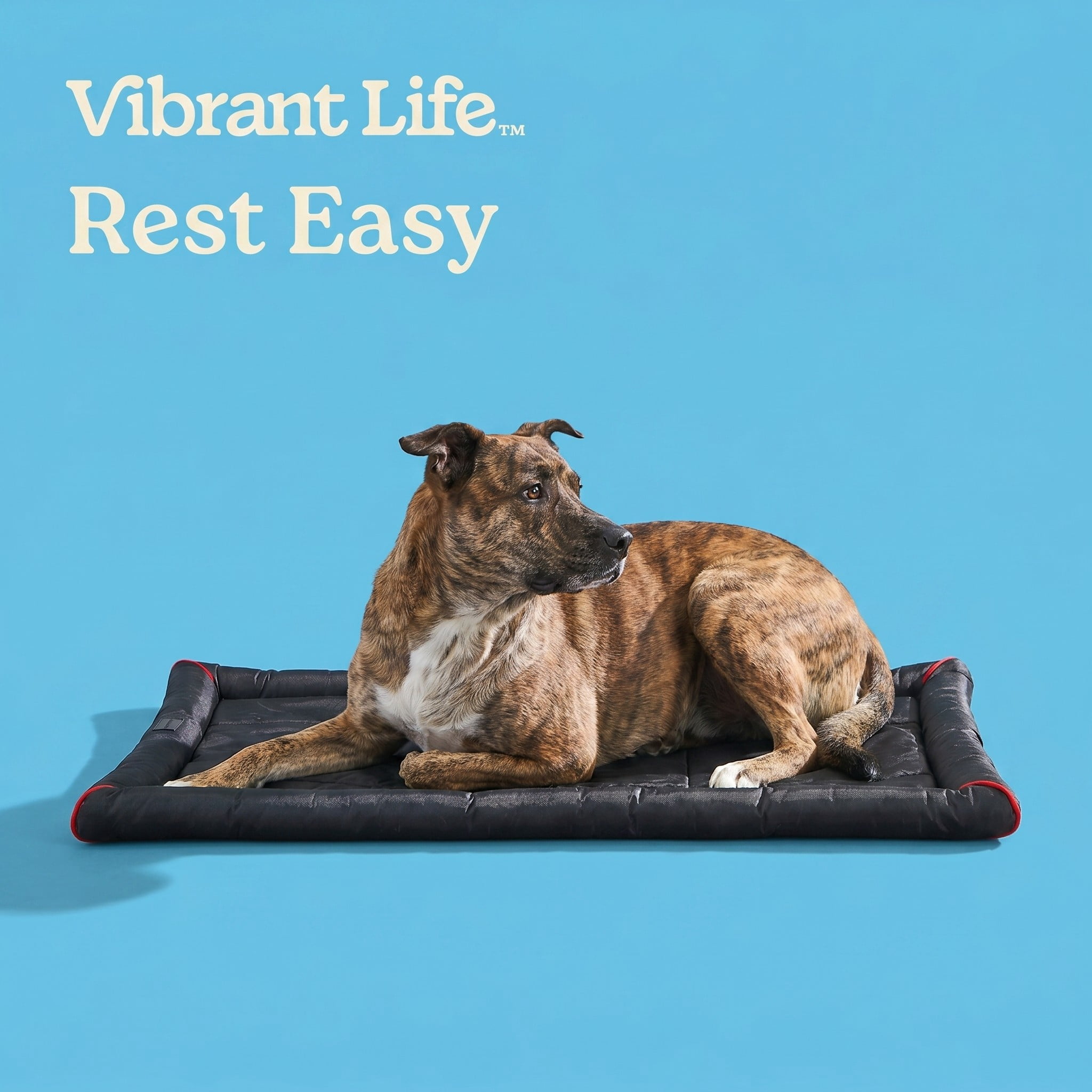 (4 pack) Vibrant Life Large Durable and Water-Resistant Crate Mat, Black, 41" x 27"