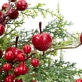 thumbnail image 6 of Northlight Frosted Berry and Crabapple Artificial Cedar and Pine Christmas Wreath - 24" - Unlit, 6 of 7