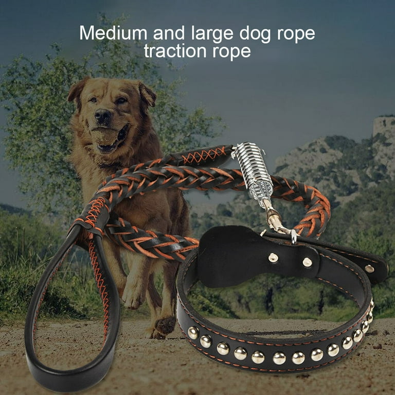 Choker and deals leash set