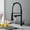 Black, variant on DTIG Kitchen Faucet with Pull-Out Sprayer, Brushed Nickel, Single-Hole Installation, 3-Function, Silver