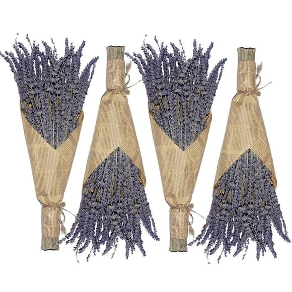 Flores secas de lavanda Cedar Space, 4 racimos