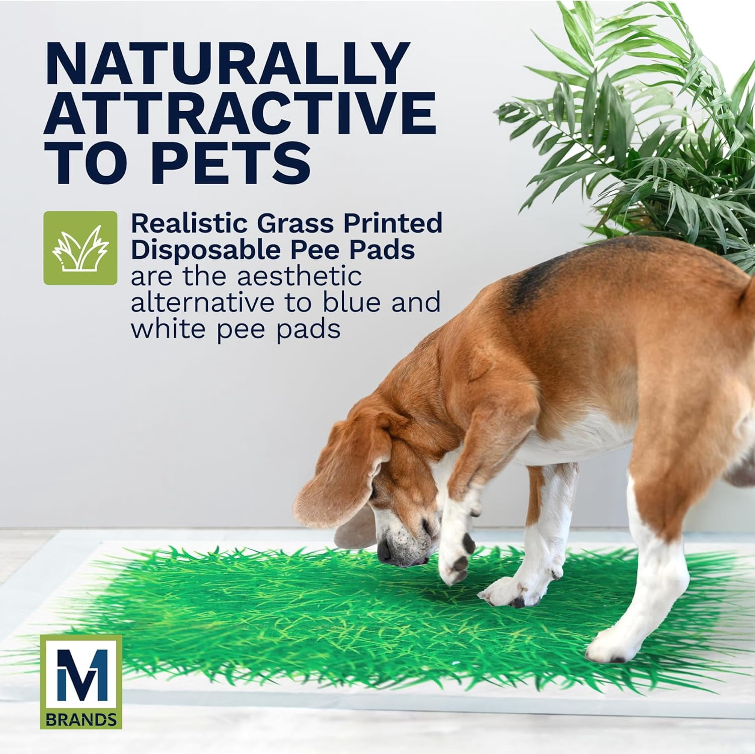 Big Dawg Pet Supplies XL Realistic Grass Printed Disposable Pet Pads. 28x34in Puppy Pee Pads for Dogs, Cats & Small Animal Wee in Handy Grab-n-Go Box. Absorbent Potty Training, Housebreaking Supplies