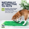 thumbnail image 4 of Big Dawg Pet Supplies XL Realistic Grass Printed Disposable Pet Pads. 28x34in Puppy Pee Pads for Dogs, Cats & Small Animal Wee in Handy Grab-n-Go Box. Absorbent Potty Training, Housebreaking Supplies, 4 of 10