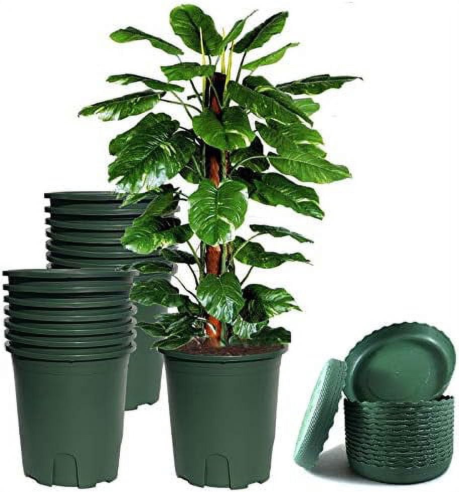 8 Set 1 Gallon Diameter 6.34 Height 6.89 Green Plastic Pots With Tray ...