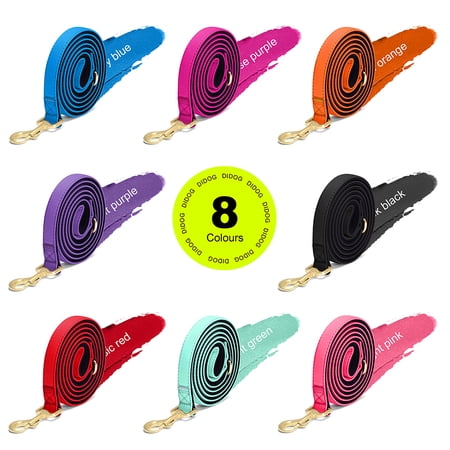 Didog Fashion 8 Bright Colors Nylon Dog Leash Durable Pet Puppy Walking Leashes with Soft Padded Handle Brass Clip 5FT Long for Small Medium Dogs