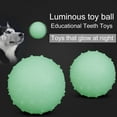 thumbnail image 2 of POINTERTECK Dog Chew Toy Teeth Cleaning Bite Resistant Useful Luminous Ball Dog Training Toy, 2 of 5