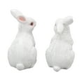 thumbnail image 2 of FitBest A Pair Of Sculpture Crafts, Animal Ornaments, Micro Landscape, Potted Decoration, 2 of 8