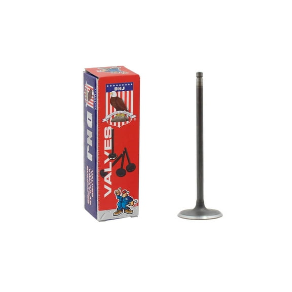 DNJ IV328 Intake Valves Set Fits Cars & Trucks 94-97 Buick 2.2L OHV